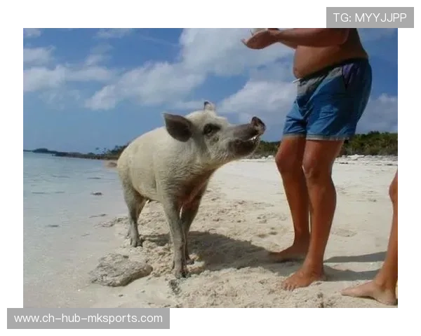 巴哈马游泳队在国际赛场表现优异,巴哈马运动员