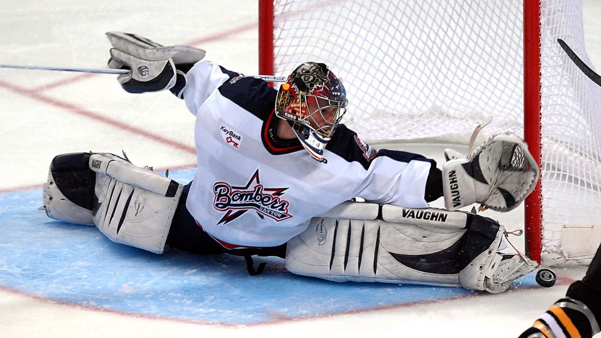 户外攀树体验赛 绳索保护下安全体验“森林之上”行走